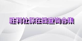 胜利社保在线查询合集
