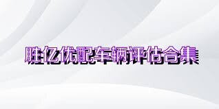 胜亿优配车辆评估合集