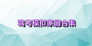 驾考模拟家园合集