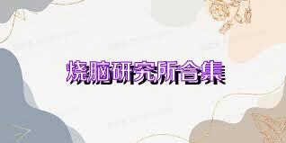 烧脑研究所合集