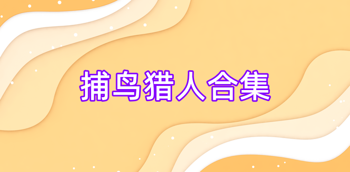 捕鸟猎人合集