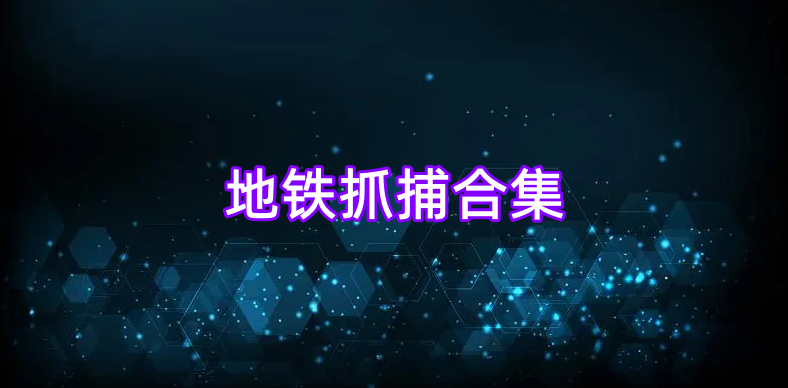 地铁抓捕合集