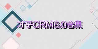 才子CRM6.0合集