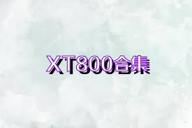 XT800合集