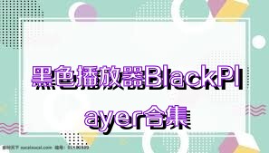 黑色播放器BlackPlayer合集