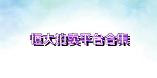 恒大拍卖平台合集