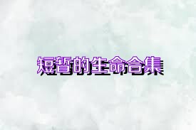 短暂的生命合集
