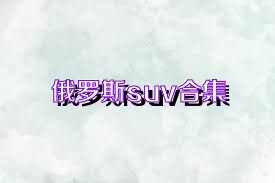 俄罗斯suv合集