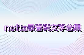 notta录音转文字合集