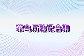 菜鸟历险记合集