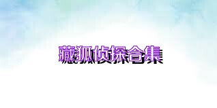 藏狐侦探合集