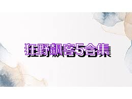 狂野飙客5合集
