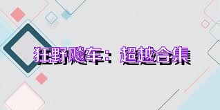 狂野飚车：超越合集