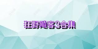 狂野飚客3合集