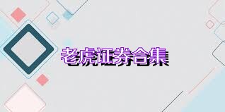 老虎证券合集