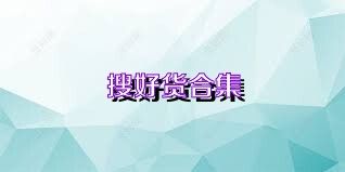 搜好货合集