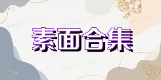 素面合集