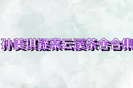 孙美琪疑案云溪茶舍合集