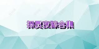 探灵夜嫁合集