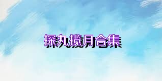 探丸揽月合集