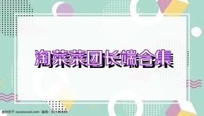 淘菜菜团长端合集