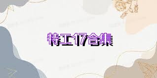 特工17合集