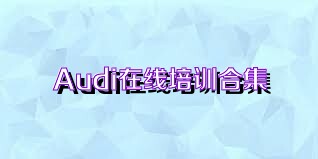 Audi在线培训合集