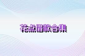 花点借款合集