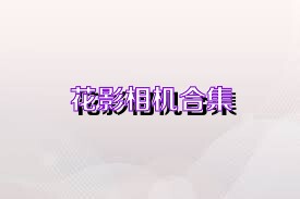 花影相机合集