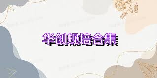 华创规培合集