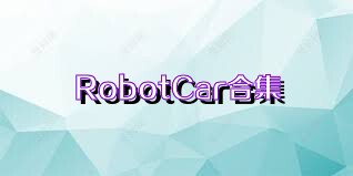 RobotCar合集