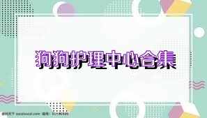狗狗护理中心合集