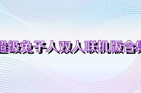 超级兔子人双人联机版合集