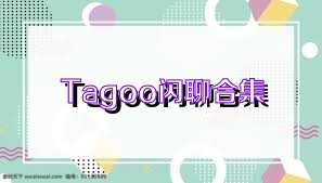 Tagoo闪聊合集