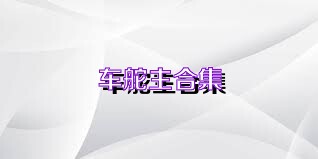车舵主合集