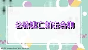 公路逃亡射击合集