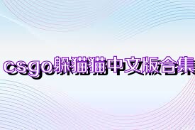 csgo躲猫猫中文版合集