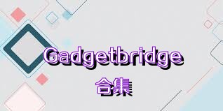 Gadgetbridge合集