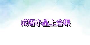 成语小皇上合集