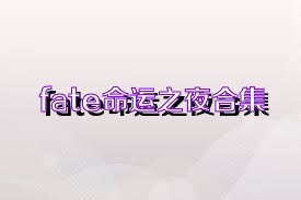 fate命运之夜合集