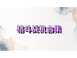 格斗战机合集