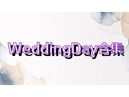 WeddingDay合集