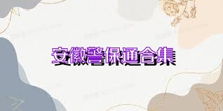 安徽警保通合集