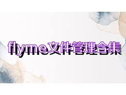 flyme文件管理合集