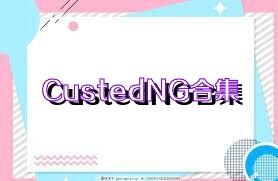 CustedNG合集