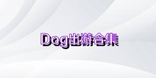 Dog出游合集