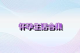 怀孕生活合集
