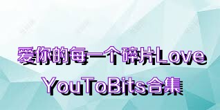 爱你的每一个碎片LoveYouToBits合集