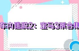 车内逃脱2：宝马3系合集