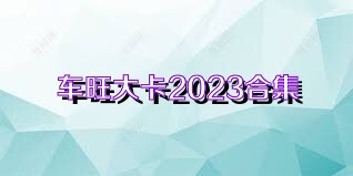 车旺大卡2023合集